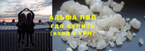 хмурый Абаза