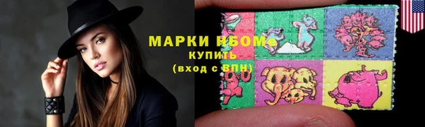 хмурый Абаза