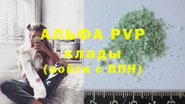 хмурый Абаза