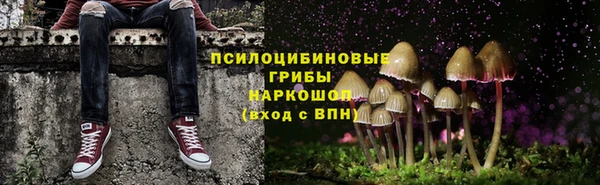 ECSTASY Алексин