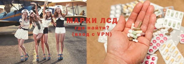хмурый Абаза