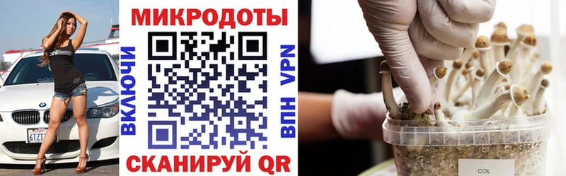 darknet формула  Котлас  Галлюциногенные грибы MAGIC MUSHROOMS 