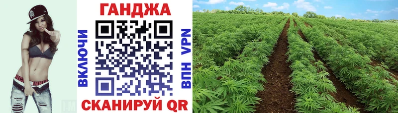 Шишки марихуана Bruce Banner  где купить наркоту  МЕГА как войти  Котлас 